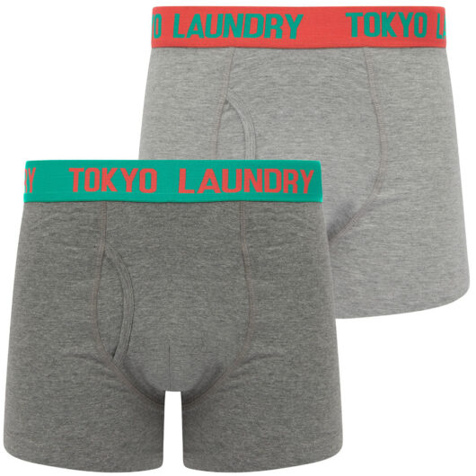 Mens Underwear Tonsley 2 (2 Pack) Boxer Shorts Set in Dubarry Coral / Aqua Green / S - Tokyo Laundry