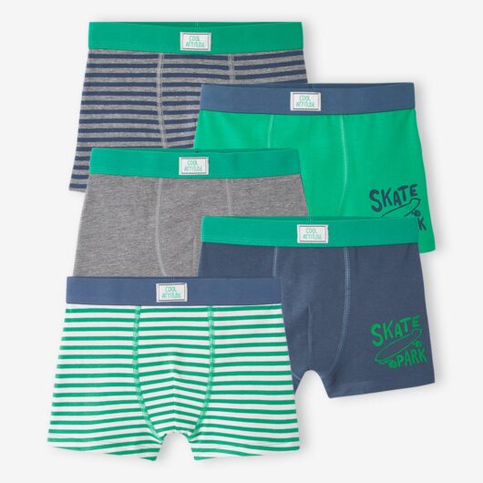 Pack of 5 Skateboarding Stretch Boxers for Boys green
