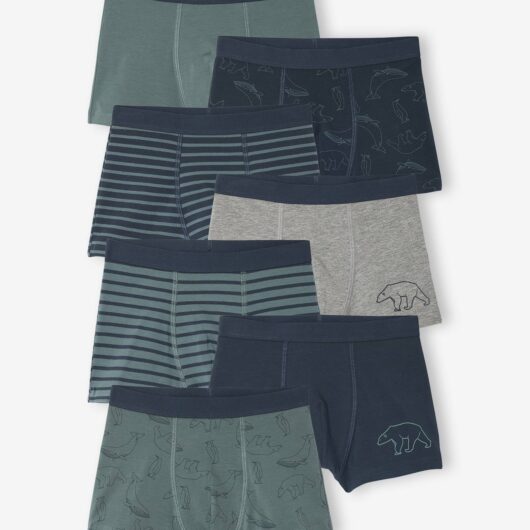 Pack of 7 Striped & Bear Print Boxers for Boys green