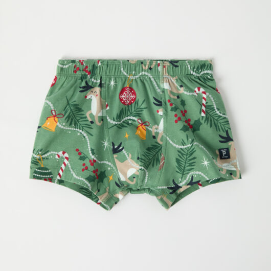 boxer shortss with Christmas print