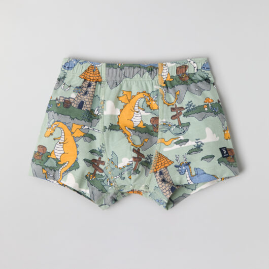 boxer shortss with dragon print