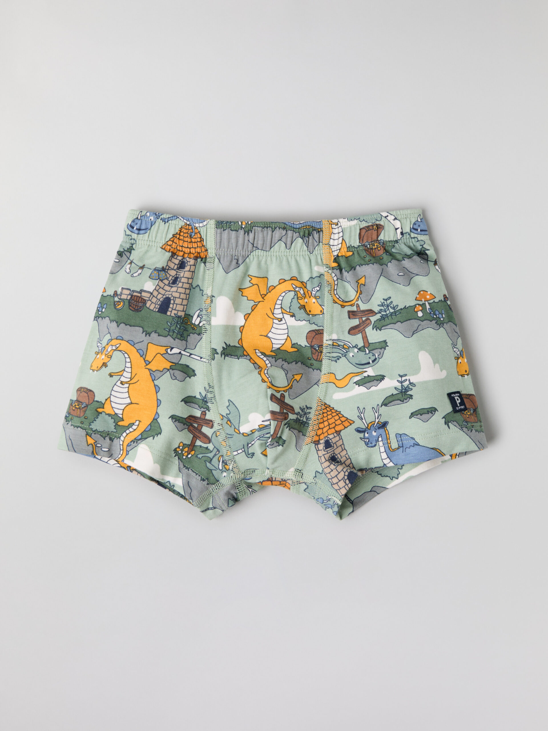 boxer shortss with dragon print